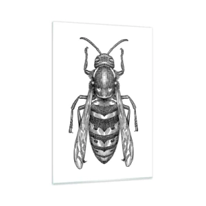 Obraz na szkle - Rysunkowy motyw osy na białym tle w stylu minimalistycznym - 80x120cm - Z owadziej planety - Nowoczesna dekoracja ścienna do salonu i sypialni ARTTOR