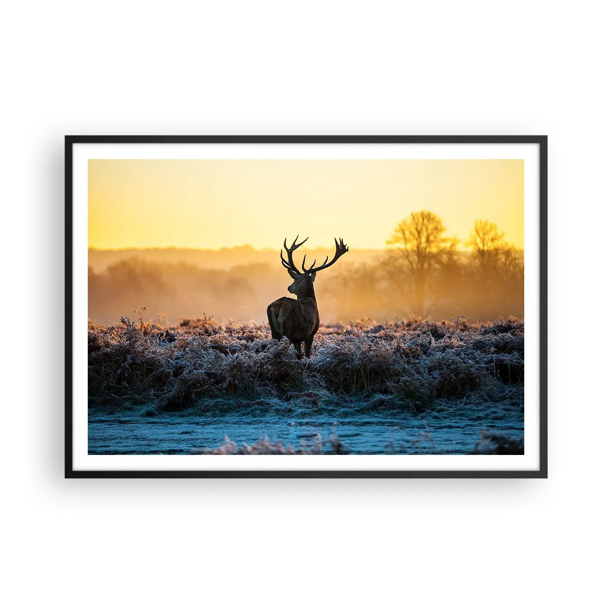 Plakat w czarnej ramie - Jeleń na mroźnej polanie o wschodzie słońca - 100x70cm - Koronowany na swoich włościach - Nowoczesna dekoracja ścienna do salonu i sypialni ARTTOR