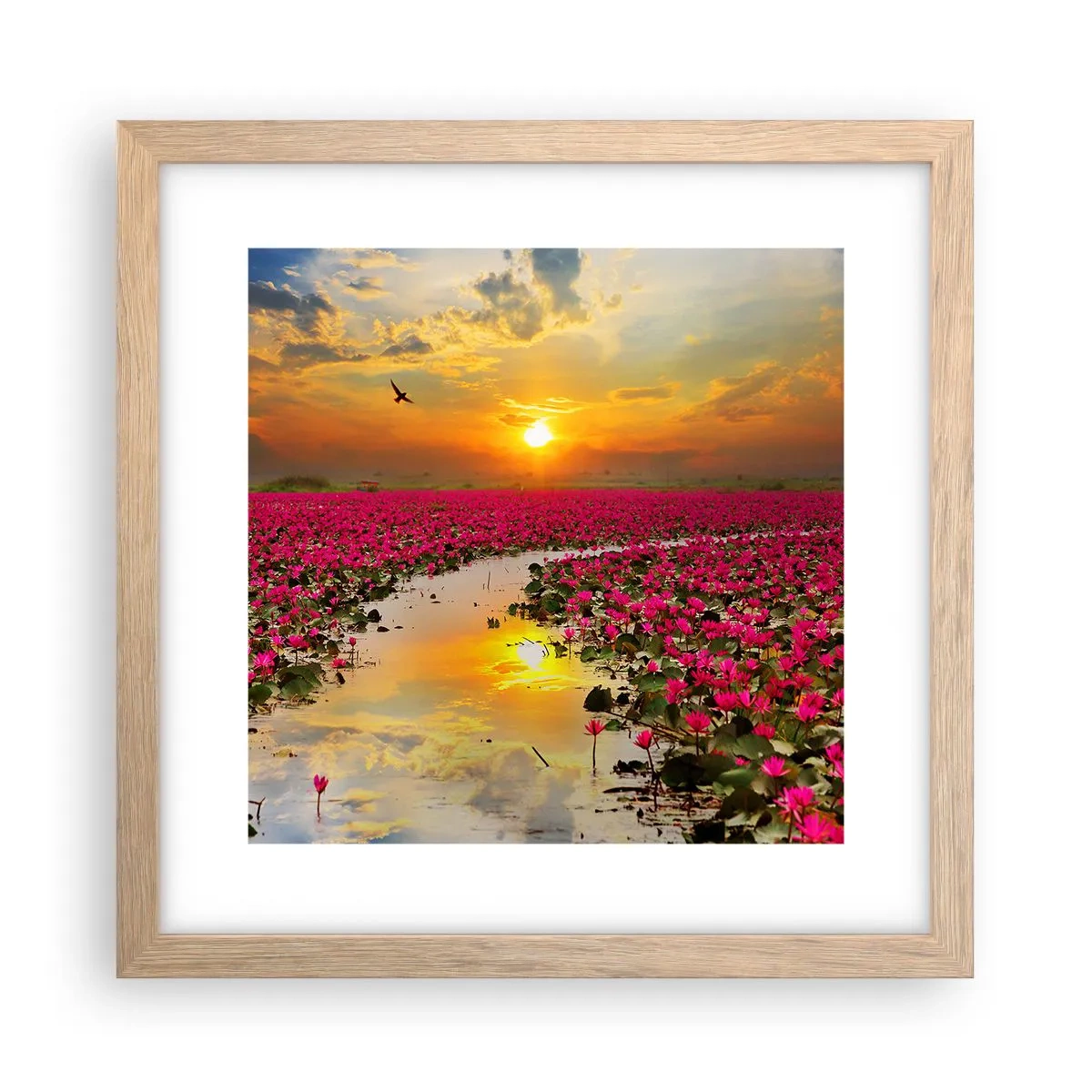 Plakat w ramie jasny dąb - Tajemne życie jeziora - 30x30 cm