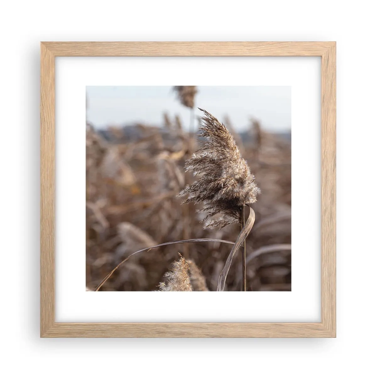 Plakat w ramie jasny dąb - Czas odlecieć z wiatrem - 30x30 cm