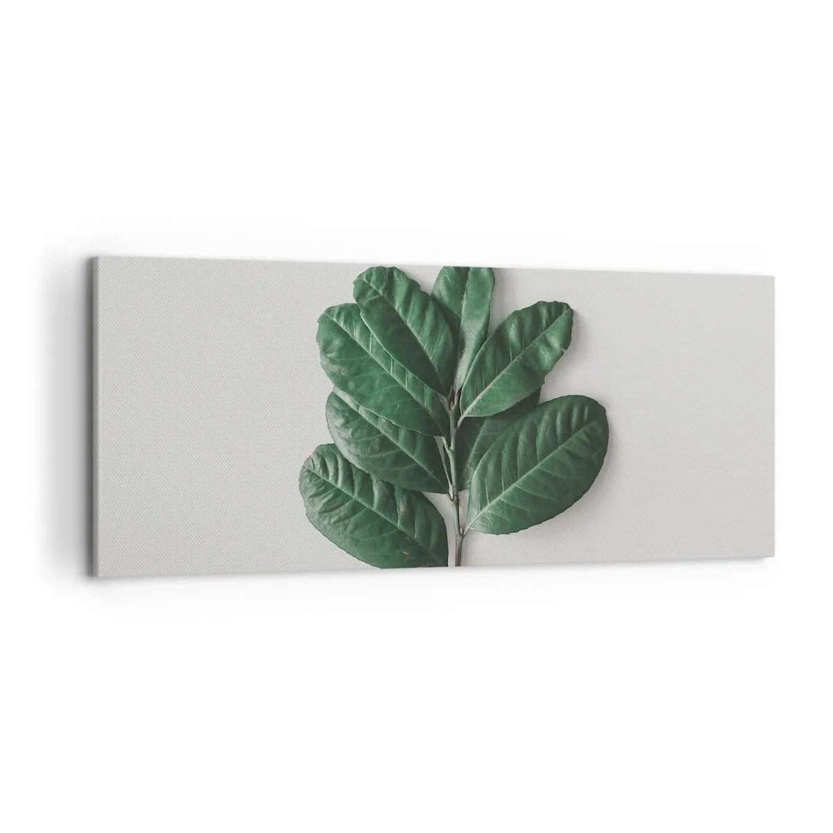 Obraz na płótnie - Gałązka zielonych liści na jasnym tle - 120x50cm - Rysunek samej natury - Nowoczesna dekoracja ścienna do salonu i sypialni ARTTOR