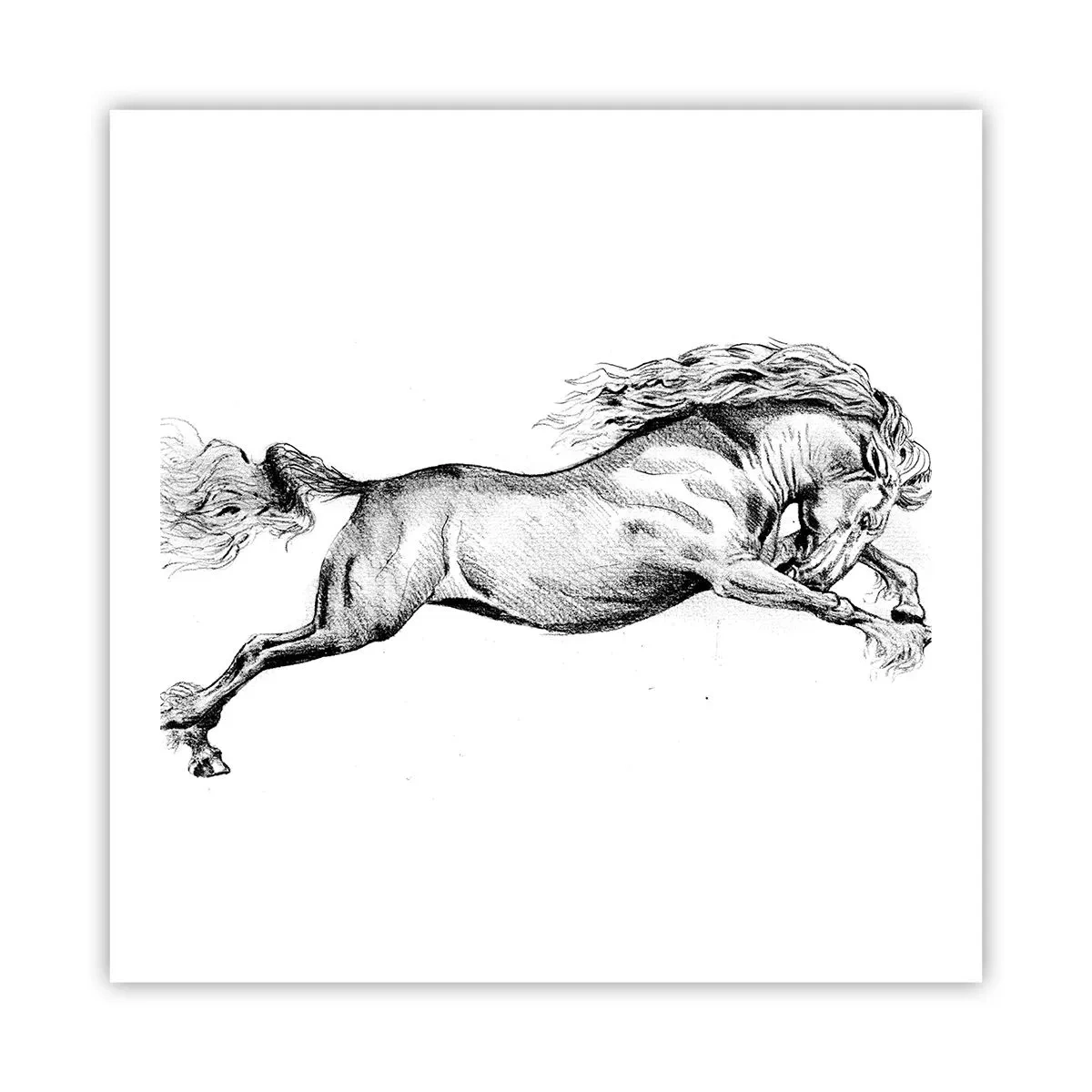 Plakat - Zatrzymany w galopie - 60x60 cm