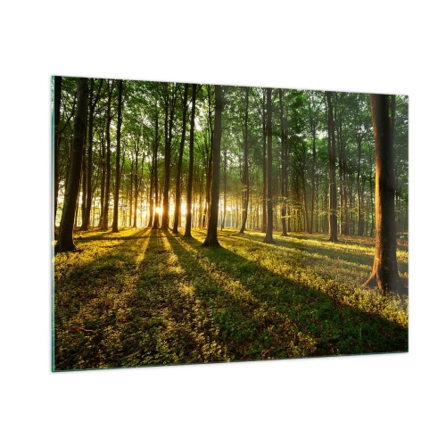 Obraz na szkle - Leśna polana oświetlona promieniami wschodzącego słońca - 100x70cm - Fotografia wszystkich wiosen - Nowoczesna dekoracja ścienna do salonu, kuchni i sypialni ARTTOR