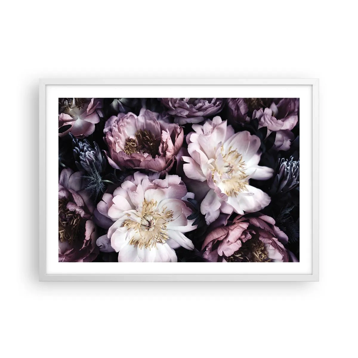 Plakat w białej ramie - Bukiet w dawnym stylu - 70x50 cm