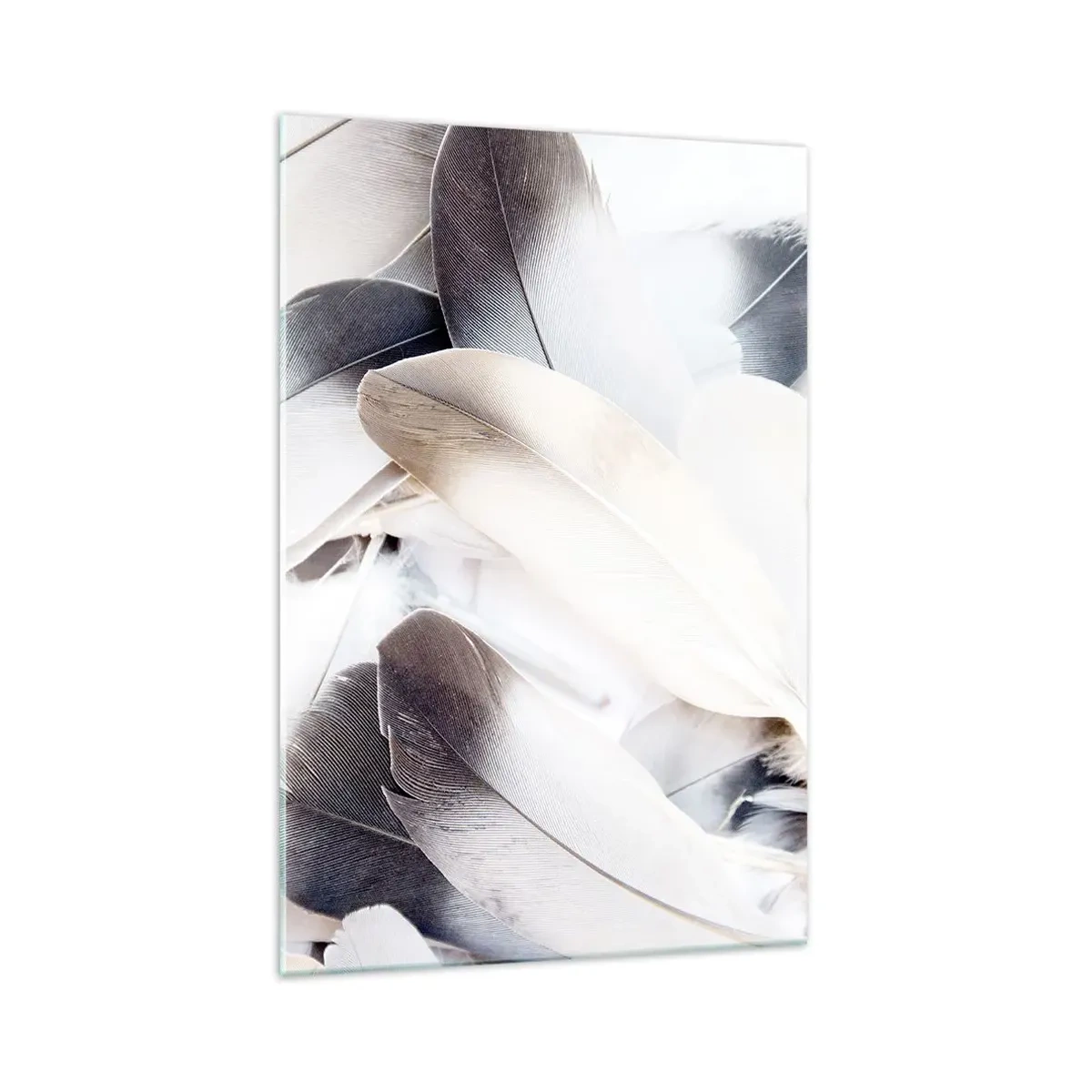 Obraz na szkle - Zbliżenie na delikatne pióra w odcieniach bieli i szarości - 70x100cm - Niemal anielskie - Nowoczesna dekoracja ścienna do salonu i sypialni ARTTOR