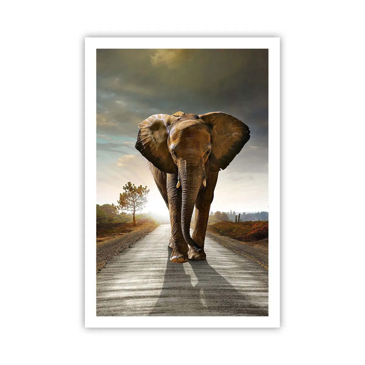 Plakat - I wcale nie w składzie porcelany - 61x91 cm