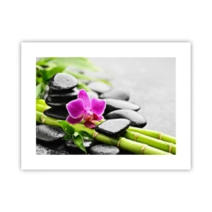 Plakat - W spokojnej równowadze - 40x30 cm