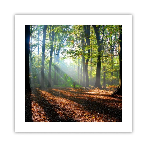 Plakat - Blaski i cienie - 40x40 cm