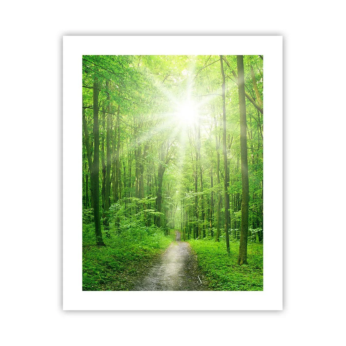 Plakat - Zielona katedra - 40x50 cm