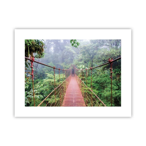 Plakat - Zawieszony nad koronami - 40x30 cm