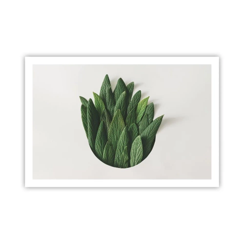 Plakat - Nieposkromiona ciekawość - 91x61 cm