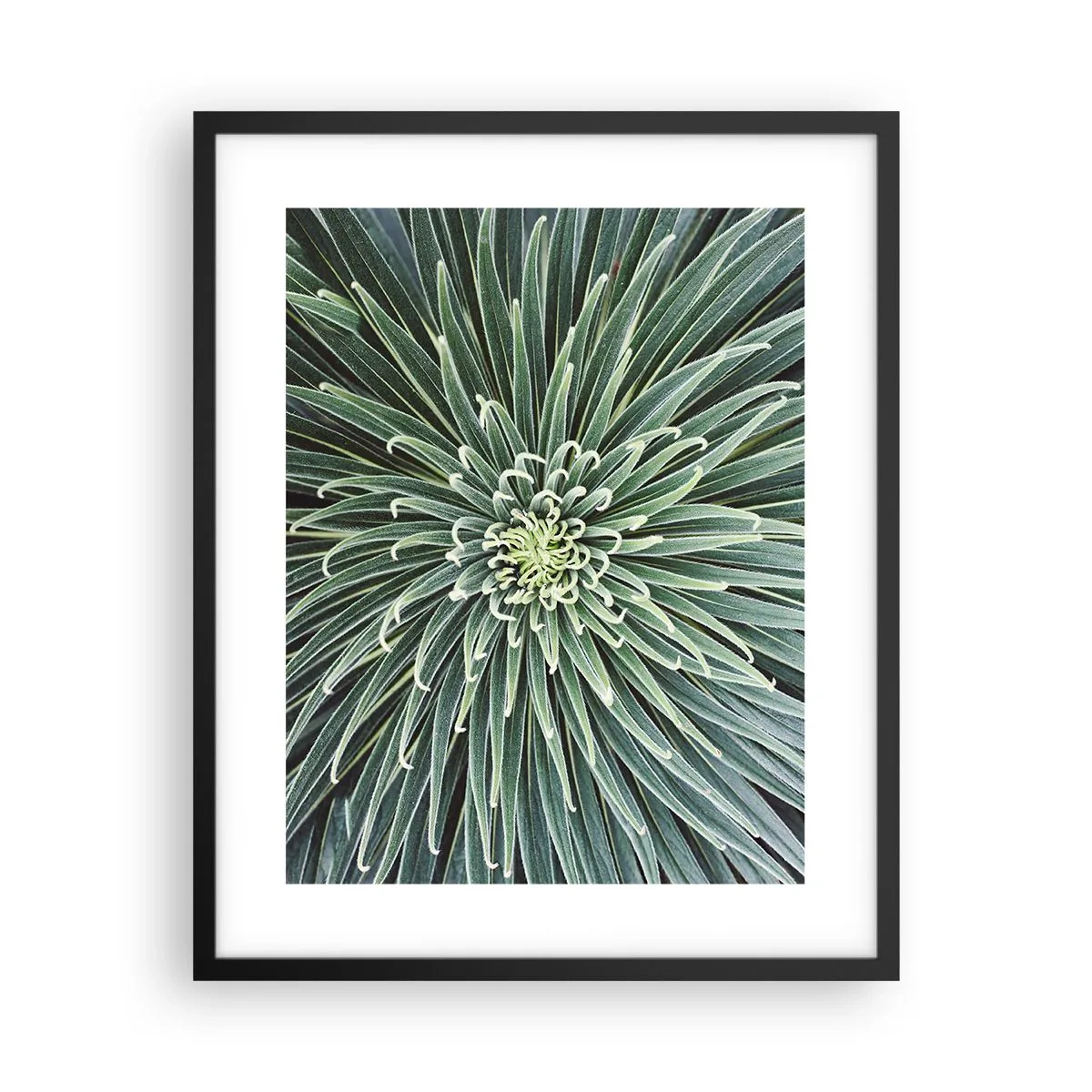 Plakat w czarnej ramie - Narodziny gwiazdy - 40x50 cm