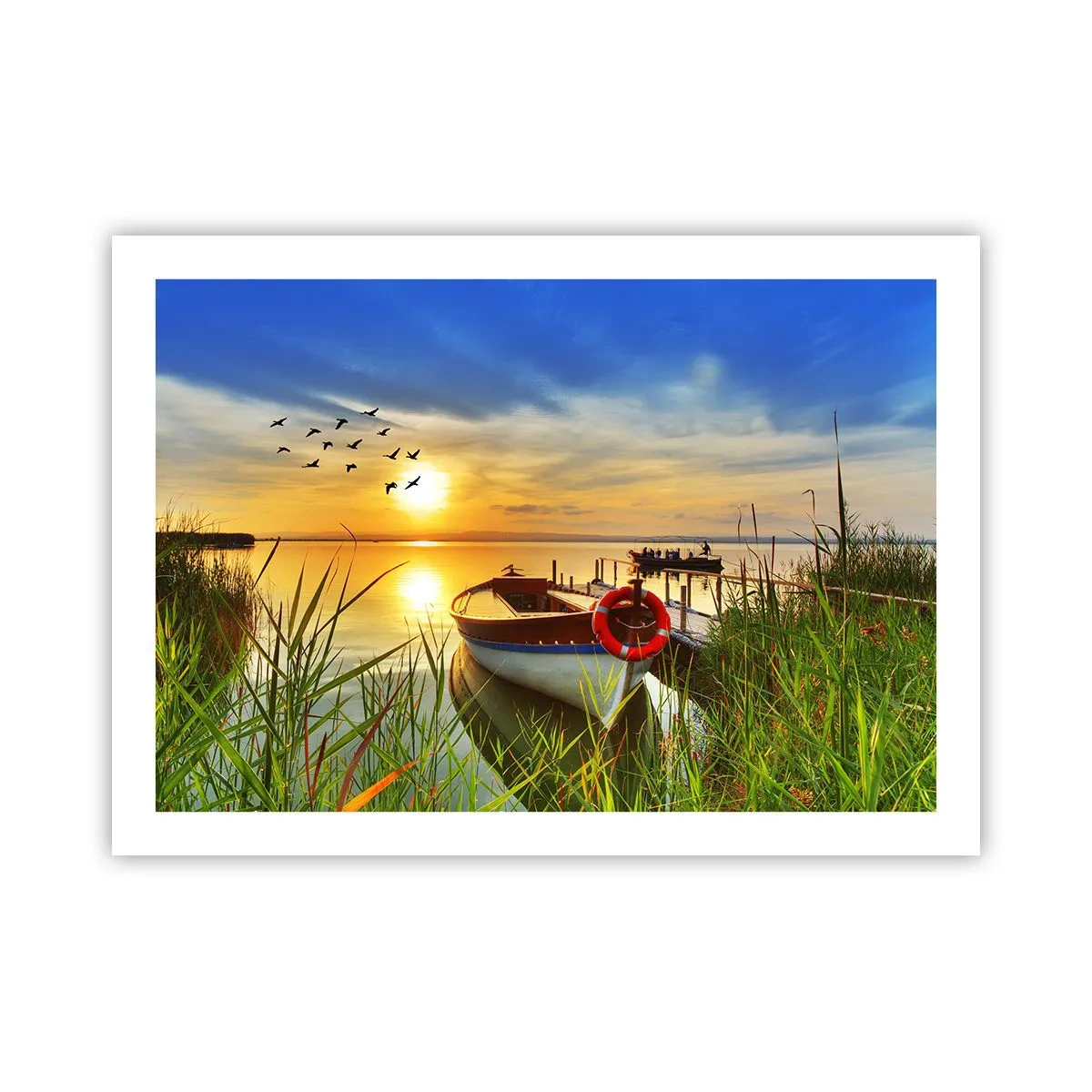 Plakat - Kormorany odlatują już - 70x50 cm