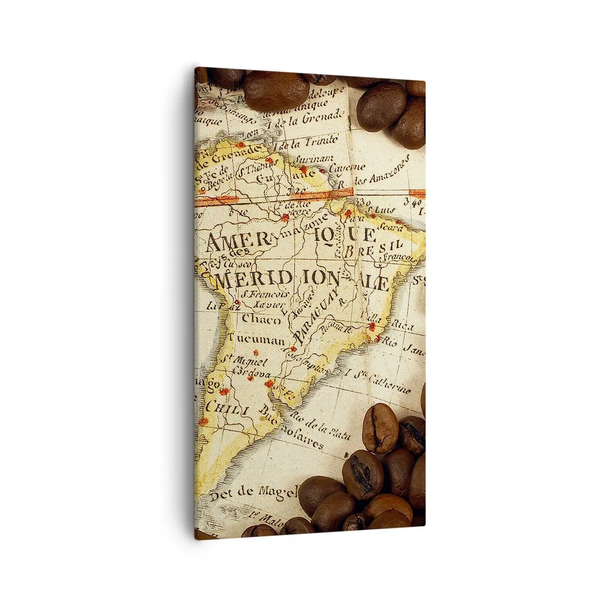 Obraz na płótnie - Skąd pochodzi najlepsza kawa? - 55x100 cm