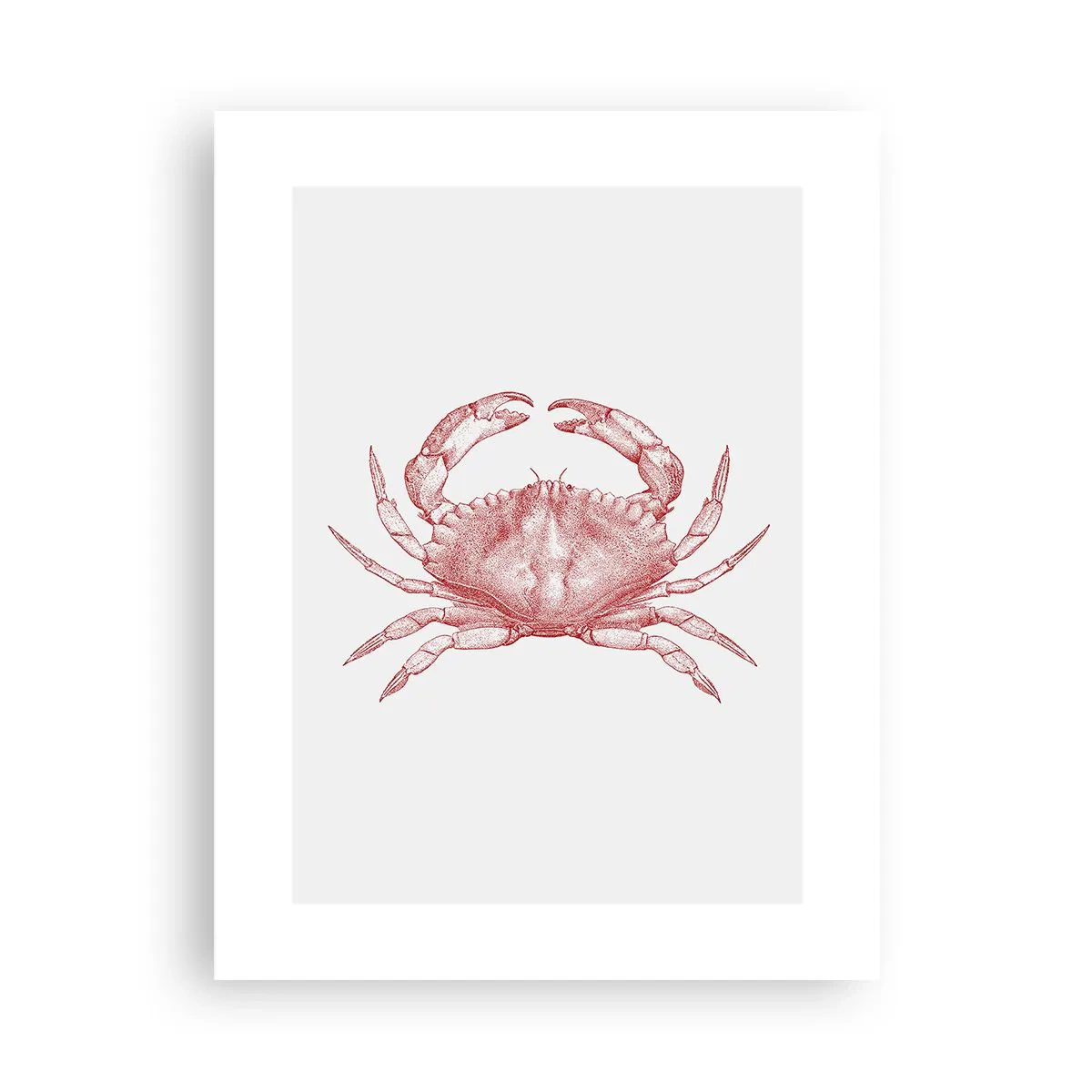 Plakat - Krab nad kraby - 30x40 cm