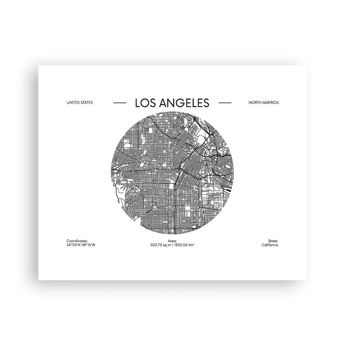 Plakat - Anatomia Los Angeles - 50x40 cm