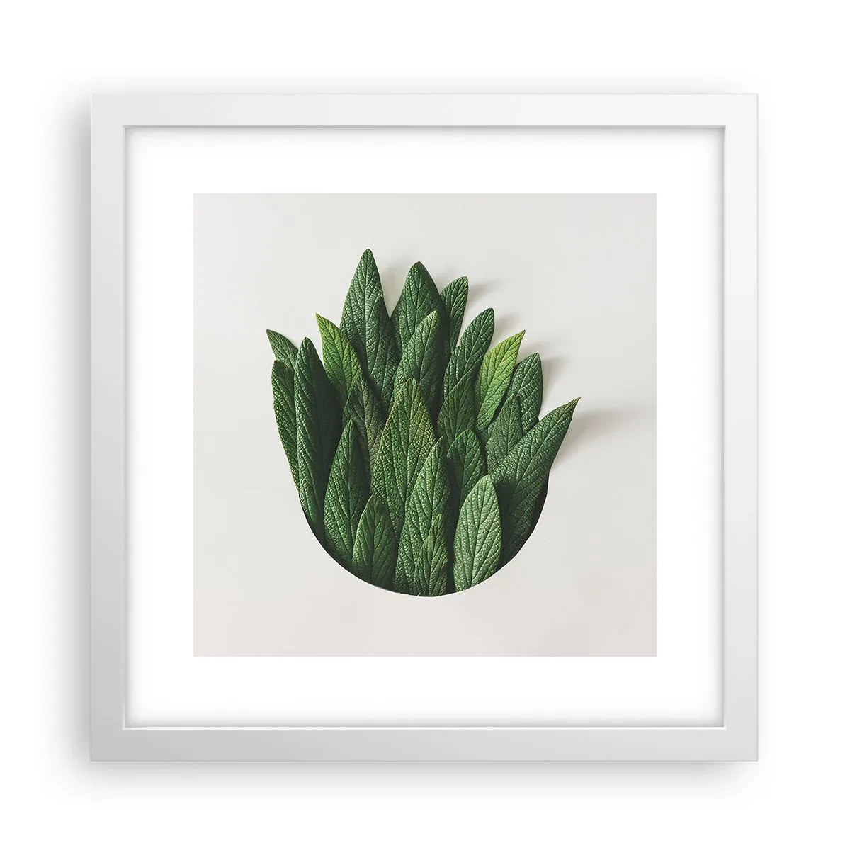 Plakat w białej ramie - Nieposkromiona ciekawość - 30x30 cm