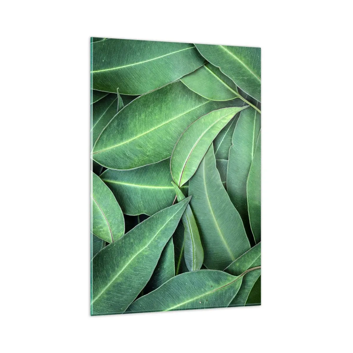 Obraz na szkle - Zbliżenie na zielone liście tworzące naturalny wzór - 80x120cm - Soczyste i świeże - Nowoczesna dekoracja ścienna do salonu i sypialni ARTTOR
