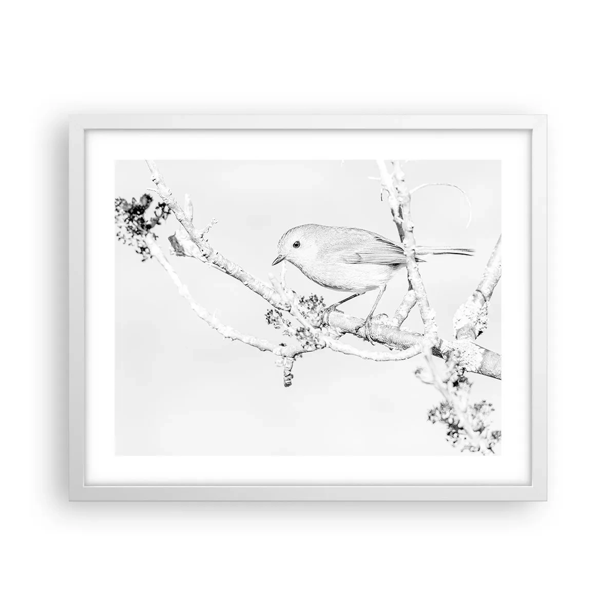 Plakat w białej ramie - Zimowy poranek - 50x40 cm