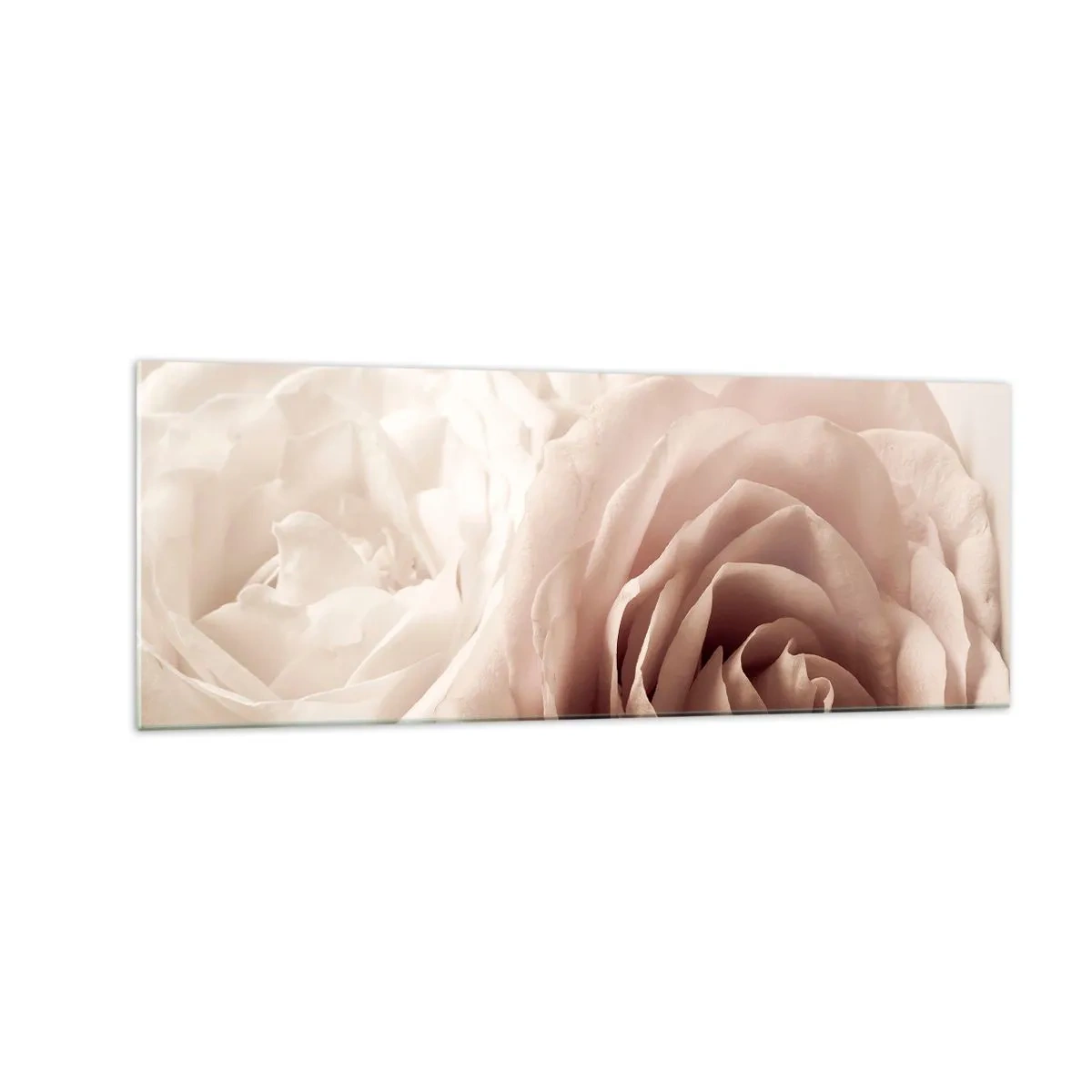 Obraz na szkle - Delikatne róże w pastelowych odcieniach beżu - 140x50cm - W sercu róży - Nowoczesna dekoracja ścienna do salonu i sypialni ARTTOR
