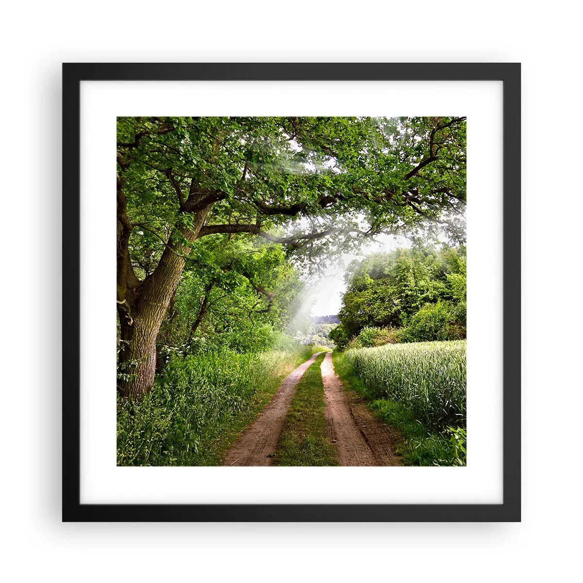 Plakat w czarnej ramie - Et in Arcadia ego - 40x40 cm