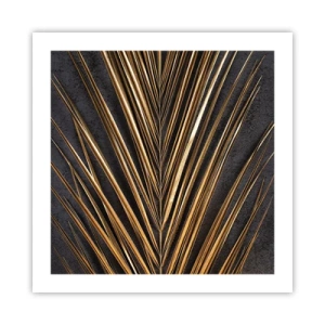 Plakat - Złoto tropików - 50x50 cm
