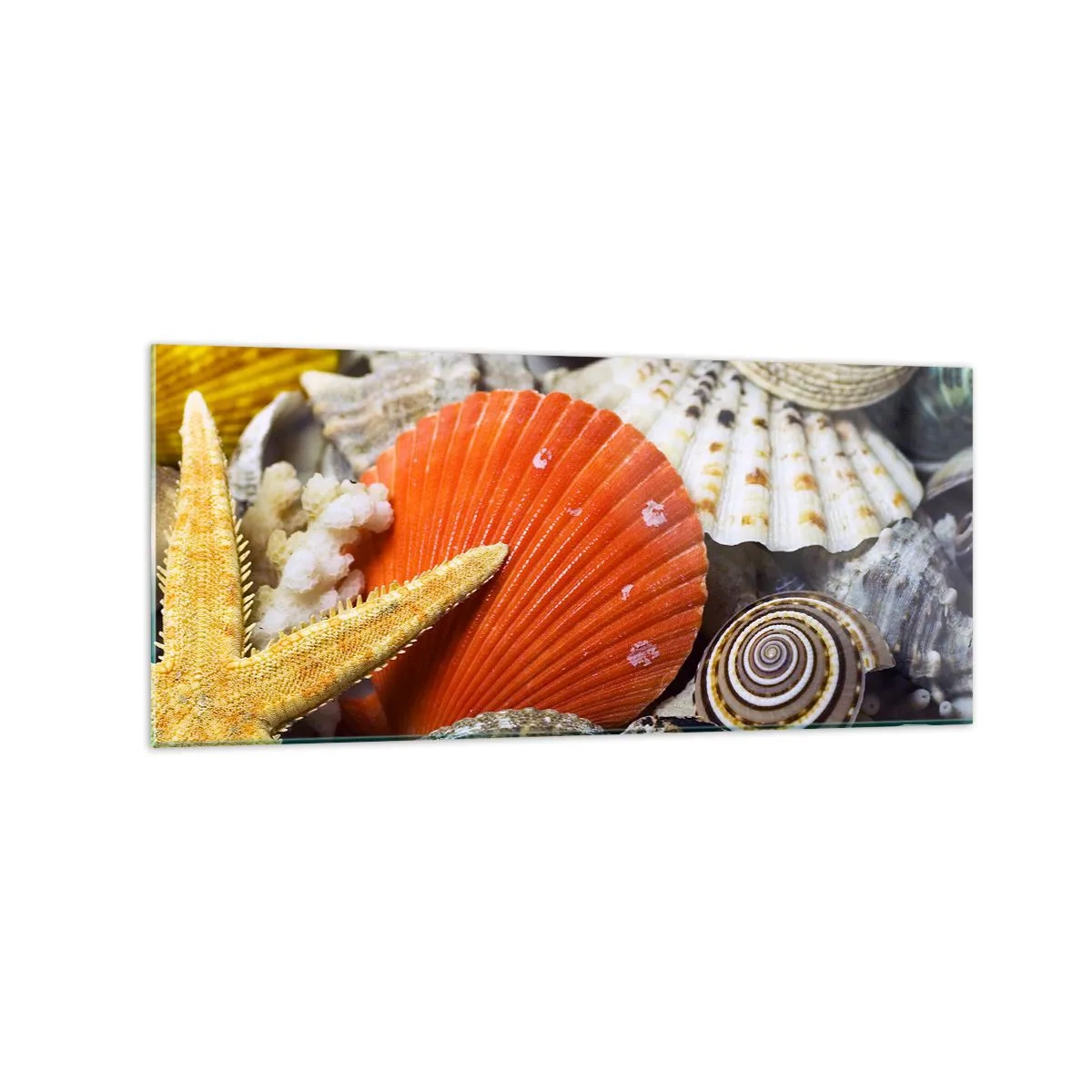 Obraz na szkle - Muszle i rozgwiazda w kompozycji morskiej - 120x50cm - Skarby oceanu - Nowoczesna dekoracja ścienna do salonu i sypialni ARTTOR