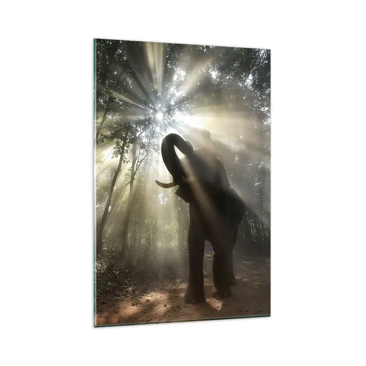 Obraz na szkle - Słoń w lesie otoczony promieniami światła w porannej mgle - 80x120cm - Pod szczęśliwą gwiazdą - Nowoczesna dekoracja ścienna do salonu i sypialni ARTTOR