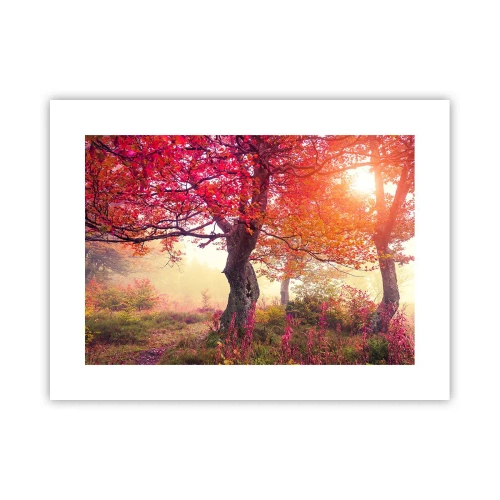 Plakat - Szał rozkwitu - 40x30 cm