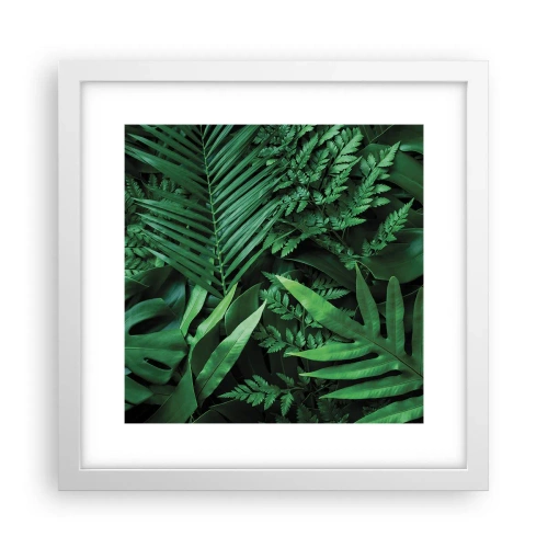 Plakat w białej ramie - Utulone w zieleni - 30x30 cm