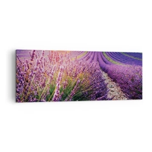 Obraz na płótnie - Pole lawendy o zachodzie słońca - 140x50cm - Pachnący łan - Nowoczesna dekoracja ścienna do salonu i sypialni ARTTOR