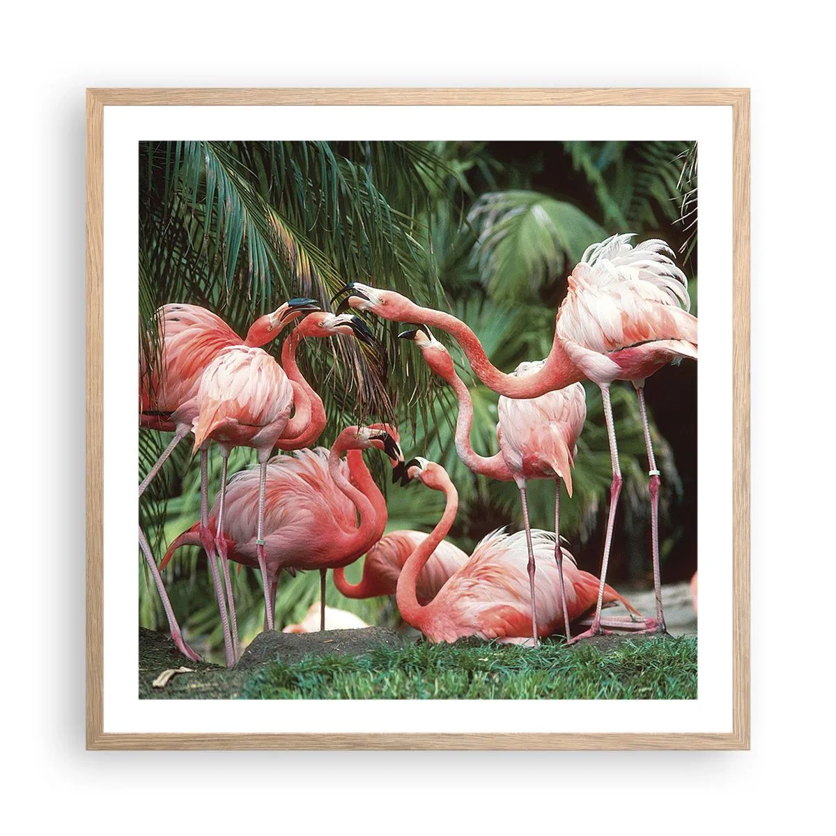 Plakat w ramie jasny dąb - Popołudniowe ploteczki - 60x60 cm