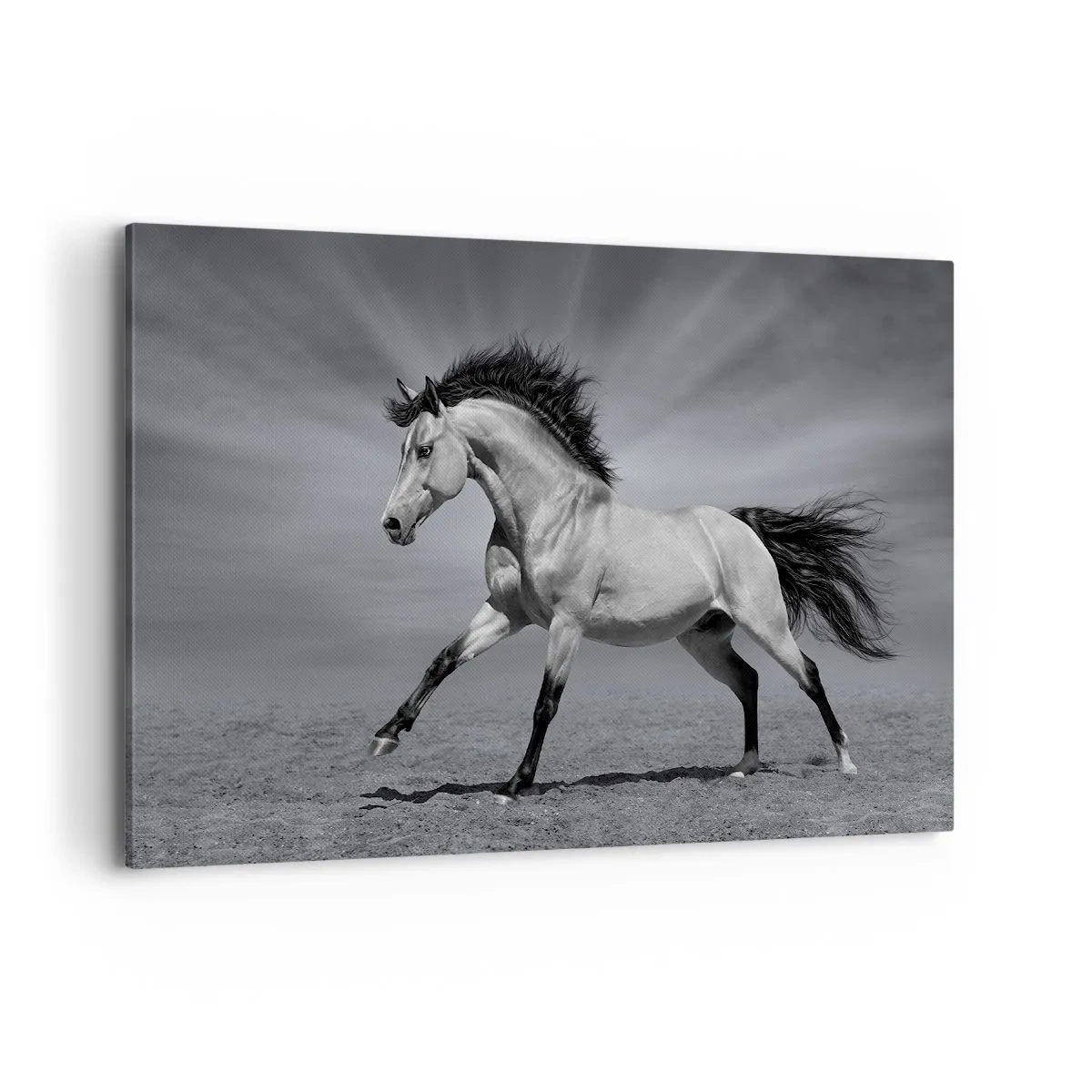 Obraz na płótnie - Czarno-biały koń w dynamicznej pozie na pustyni - 120x80cm - Urodzony, by zachwycać - Nowoczesna dekoracja ścienna do salonu, kuchni i sypialni ARTTOR