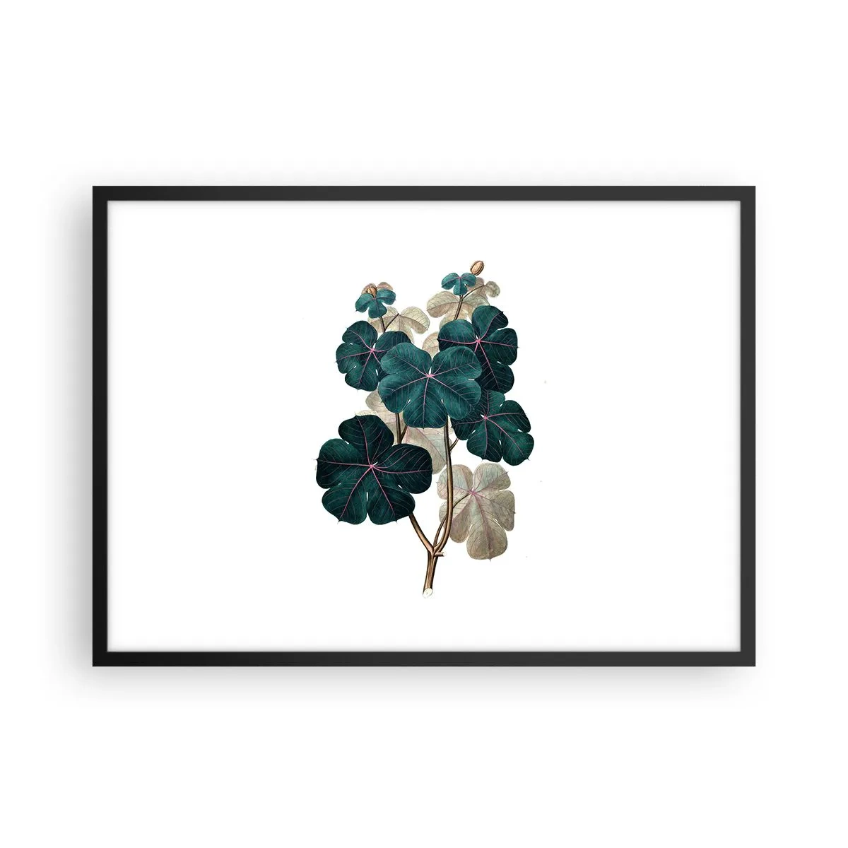 Plakat w czarnej ramie - Ilustracja botaniczna z liśćmi w odcieniach zieleni i beżu - 70x50cm - Ze starego zielnika - Nowoczesna dekoracja ścienna do salonu i sypialni ARTTOR