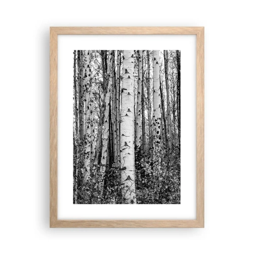 Plakat w ramie jasny dąb - Brzozowa kolumnada - 30x40 cm