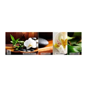 Fototapeta Próbka Standard Eco - Poddaj się dotykowi natury - Kwiaty, Orchidea, Storczyk - 100x30 cm