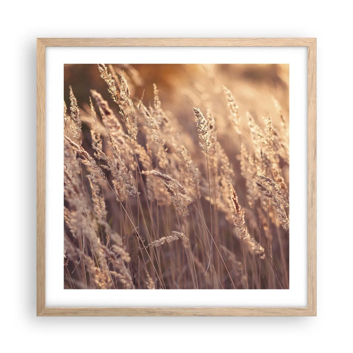 Plakat w ramie jasny dąb - Gotowe na powitanie jesieni - 50x50 cm