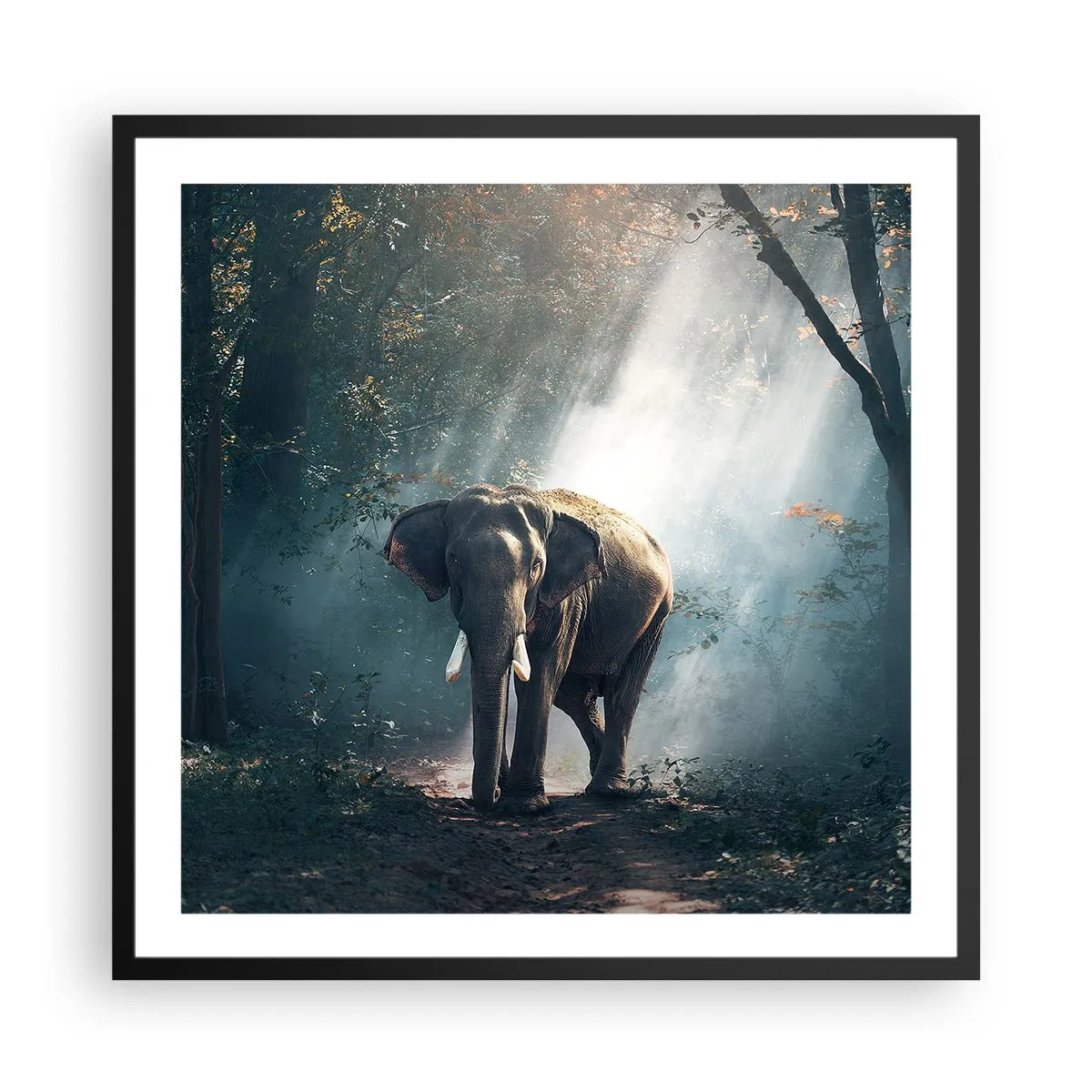 Plakat w czarnej ramie - Spokojna przechadzka - 60x60 cm