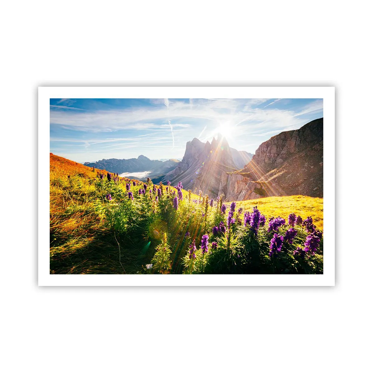 Plakat - Sekretne życie ziół - 91x61 cm