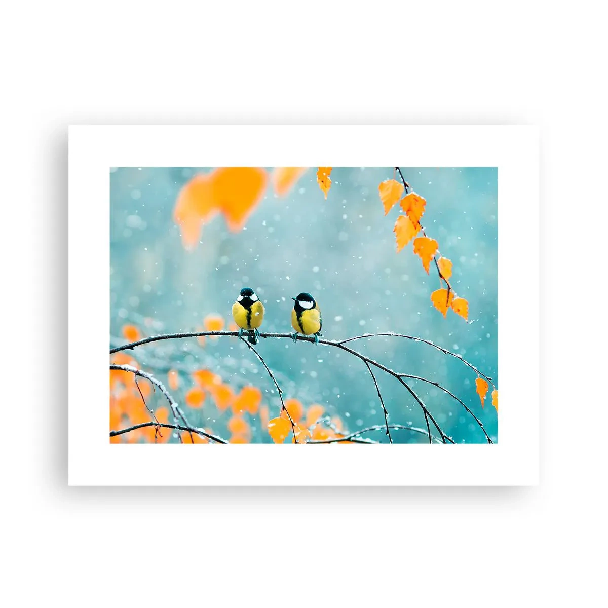 Plakat - Ptasie plotki - 40x30 cm