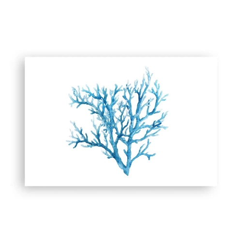 Plakat - Morski filigran - 91x61 cm