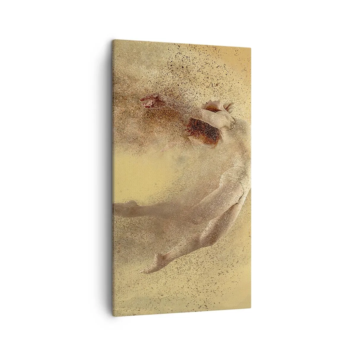 Obraz na płótnie - W tanecznym uniesieniu - 45x80 cm