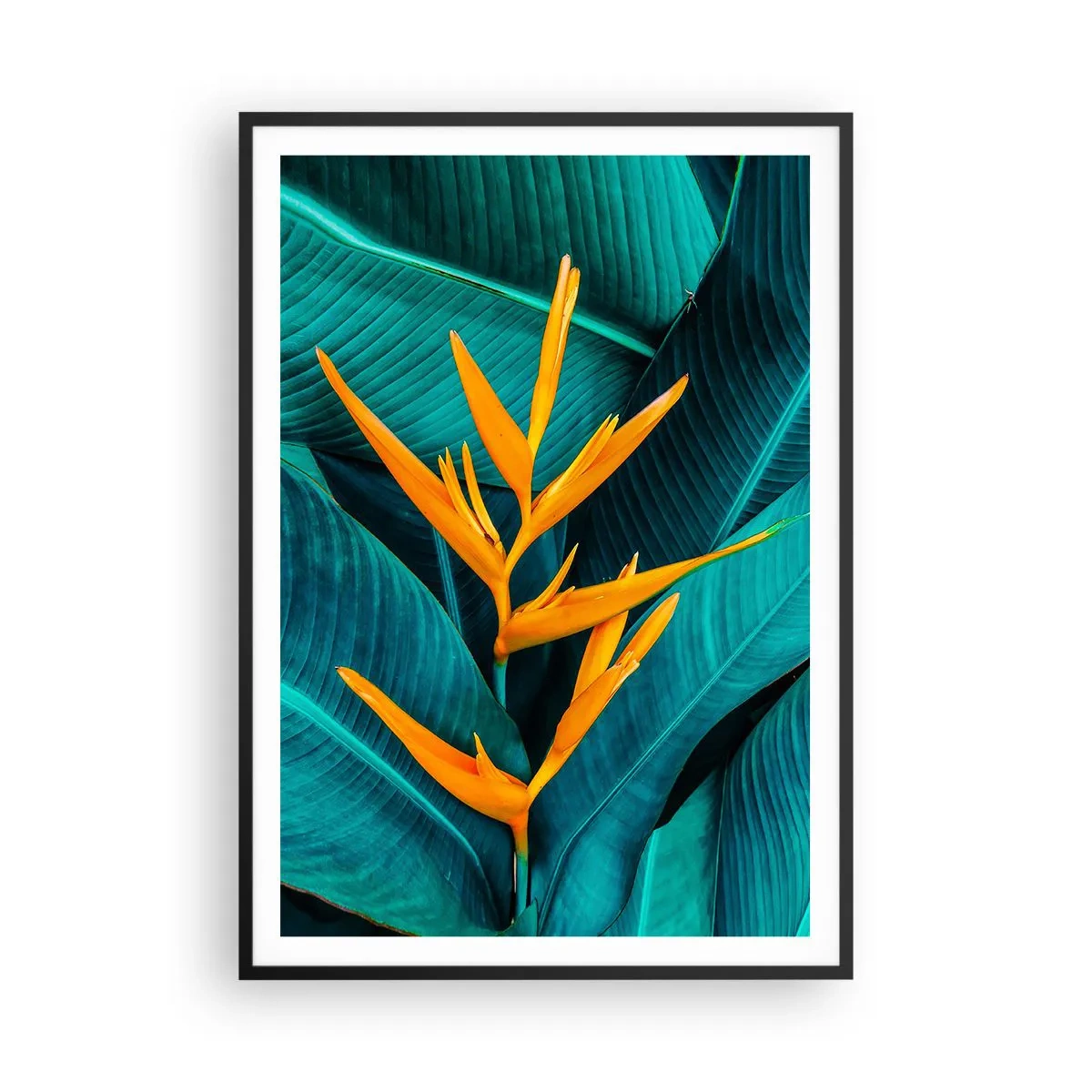 Plakat w czarnej ramie - Kwiat Edenu - 70x100 cm