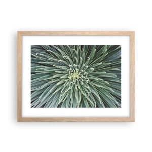 Plakat w ramie jasny dąb - Narodziny gwiazdy - 40x30 cm