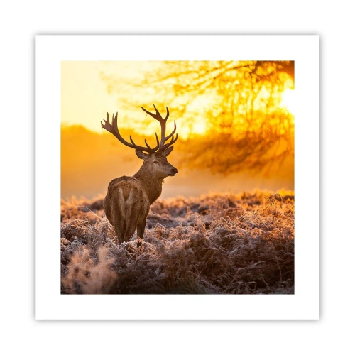 Plakat - Król jesiennego lasu - 40x40 cm