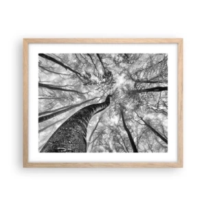 Plakat w ramie jasny dąb - Wyścig do światła - 50x40 cm