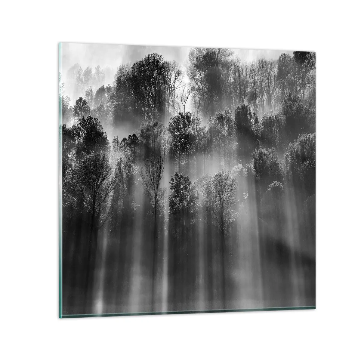Obraz na szkle - W strumieniach światła - 70x70 cm