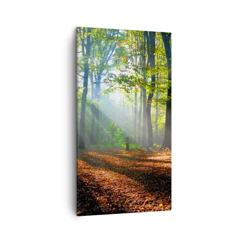 Obraz na Płótnie Arttor 45x80 cm - Blaski i cienie - Las, Drzewa, Natura, Promienie Słóńca, Pejzaż, Do Salonu, Do Sypialni, Pomarańczowy, Zielony, Pionowy, Płótno, PA45x80-0136