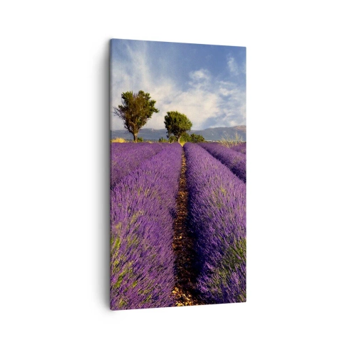 Obraz na Płótnie Arttor 45x80 cm - Lawendowe łany - Krajobraz, Natura, Lawenda, Francja, Pejzaż, Do Salonu, Do Sypialni, Zielony, Niebieski, Pionowy, Płótno, PA45x80-0128