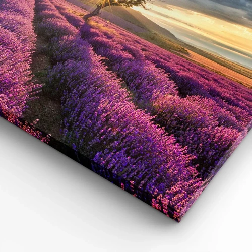 Obraz na płótnie - Aromat w kolorze lila - 70x70 cm